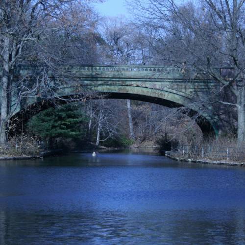NYCDOT Hill Drive (Terrace Bridge) in Prospect Park